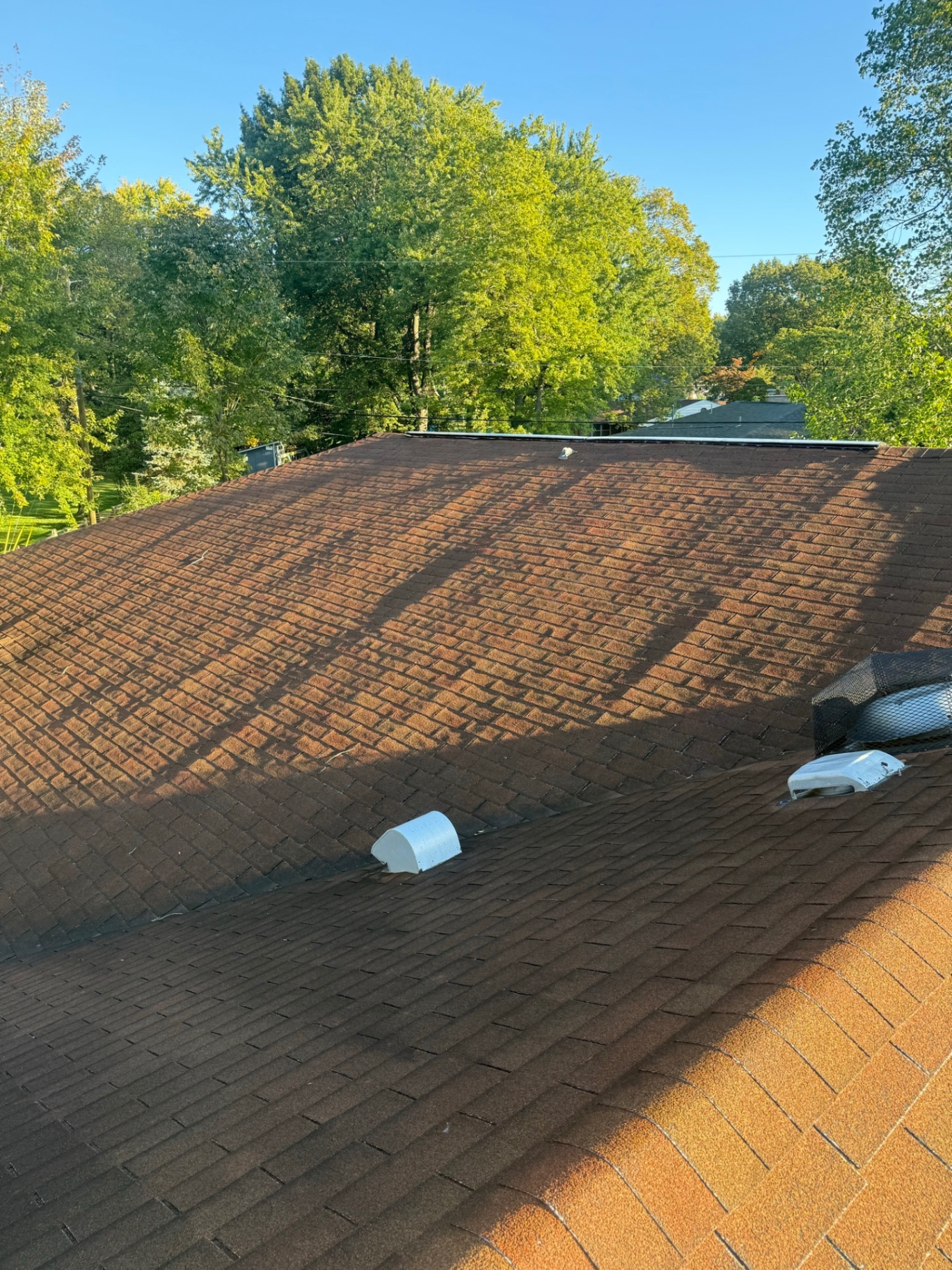 Recent project — Full roof replacement